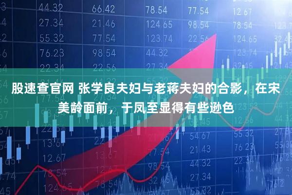 股速查官网 张学良夫妇与老蒋夫妇的合影，在宋美龄面前，于凤至显得有些逊色